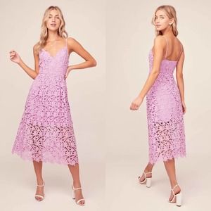 ASTR THE LABEL Light Orchid Lace A-line Midi Dress